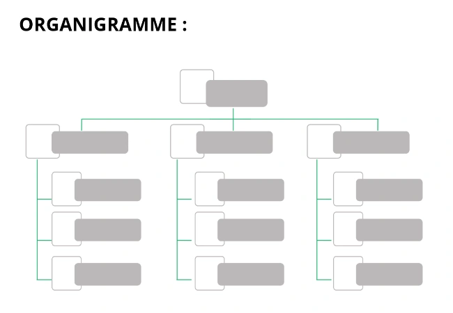 créer organigramme gratuit