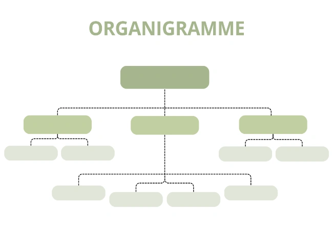 modèle organigramme fonctionnel gratuit