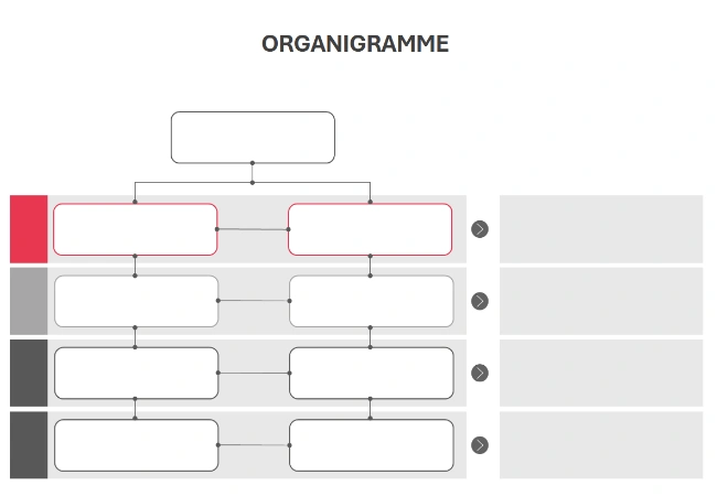 modèle organigramme gratuit
