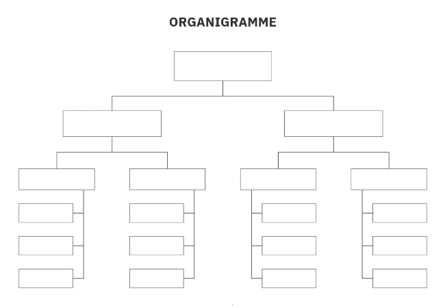 modèle organigramme vierge à télécharger