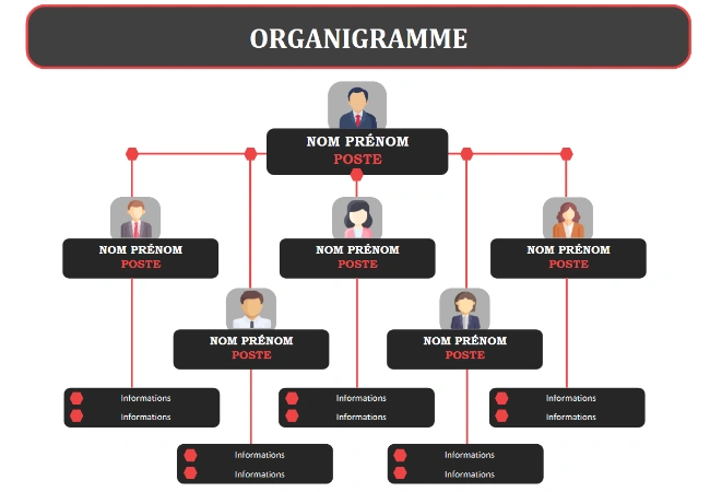 modèle organigramme word