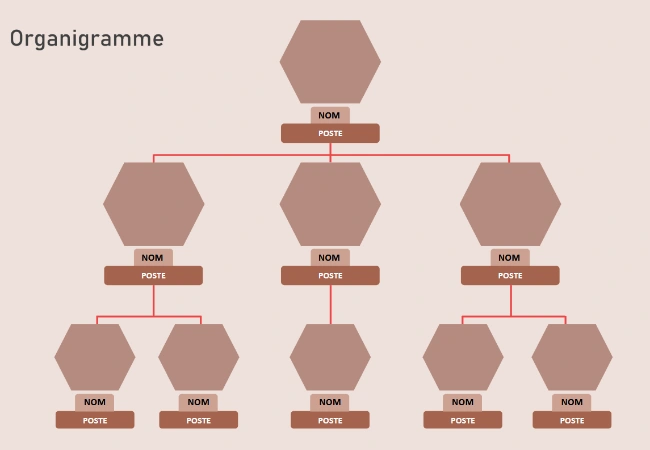 organigramme gratuit word