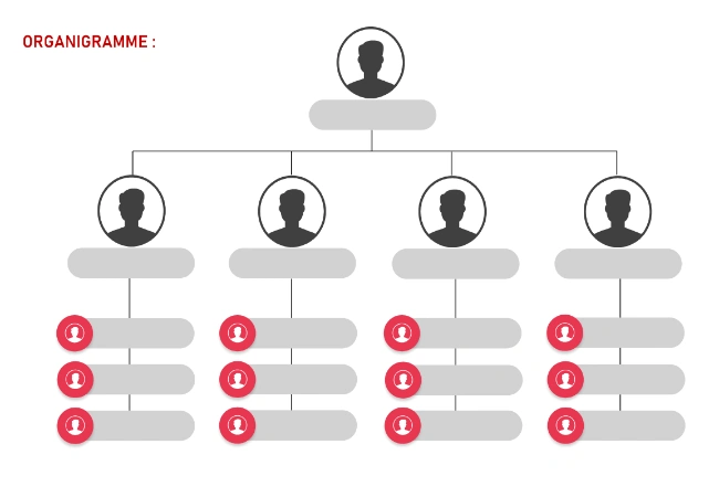 organigramme à remplir gratuit