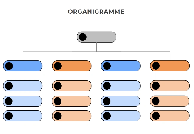 organigramme à remplir
