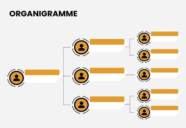 organigramme modèle gratuit
