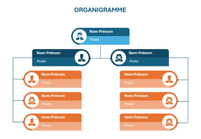 organigramme vierge word
