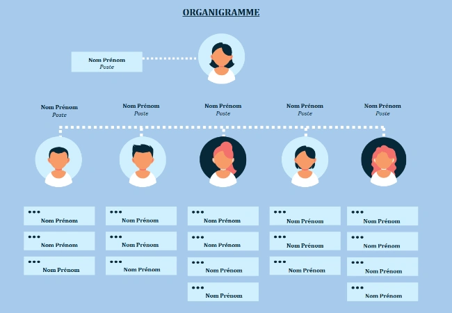 organigramme word modèle