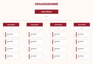 télécharger modèle organigramme gratuit word